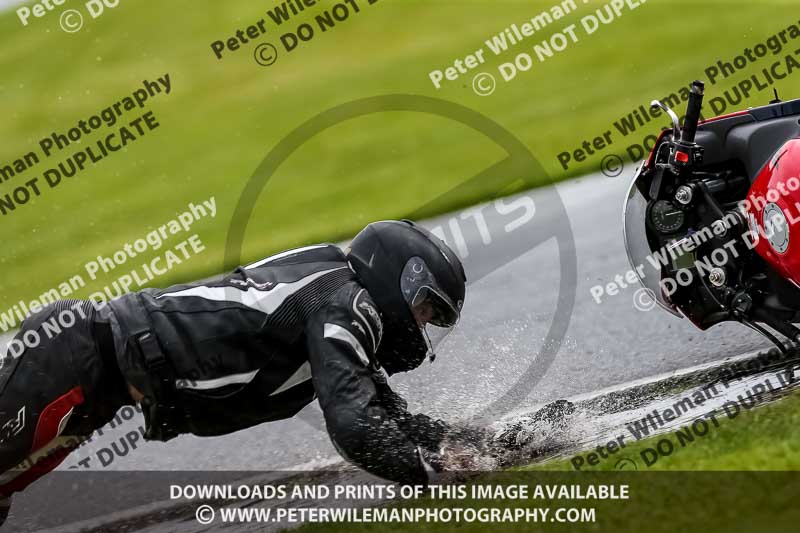 PJ Motorsport 2019;anglesey;brands hatch;cadwell park;croft;donington park;enduro digital images;event digital images;eventdigitalimages;mallory;no limits;oulton park;peter wileman photography;racing digital images;silverstone;snetterton;trackday digital images;trackday photos;vmcc banbury run;welsh 2 day enduro